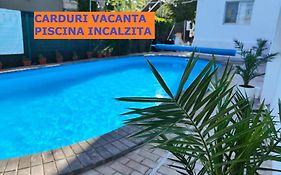 Vila Fifi Costinesti